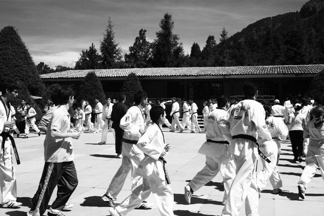 Behrooz Sani Otomi
self defense
Aikijukendo
2011
